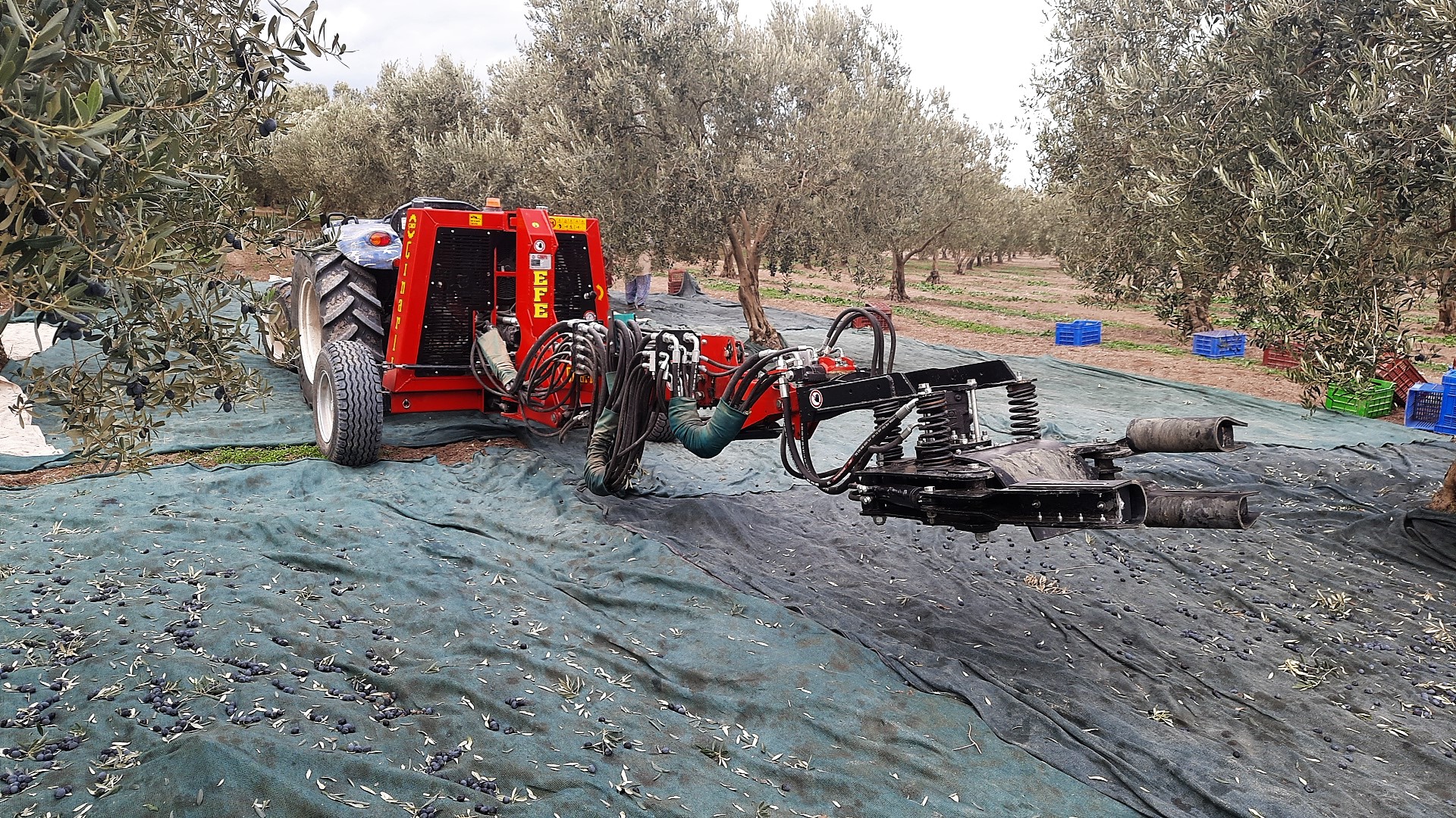 Efe Hasat Makinası